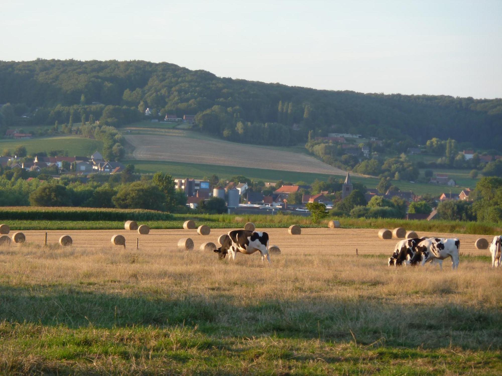 Entre Monts Et Collines B&B Et Spa En Option Esterno foto